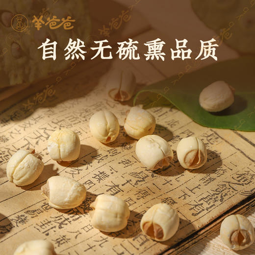 【白莲子】江西白莲子 自然烘干 饱满粉糯 煲汤煮粥好搭档 商品图2