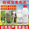 螺虫噻嗪酮二嗪磷微囊悬浮剂组合花生地下害虫蛴螬缓释熏蒸杀虫剂 商品缩略图1
