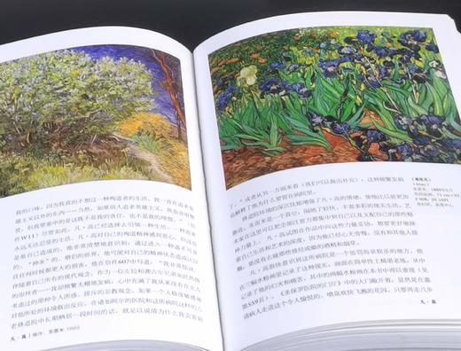 世界图书馆两种：《凡高》+《莫奈》，精装，小32开，铜版彩印，[德]丹尼尔.文登森、瑞纳.梅茨格著，北京美术摄影出版社2018年一版一印，741+612页，两册定价：396，售价118元。 商品图9