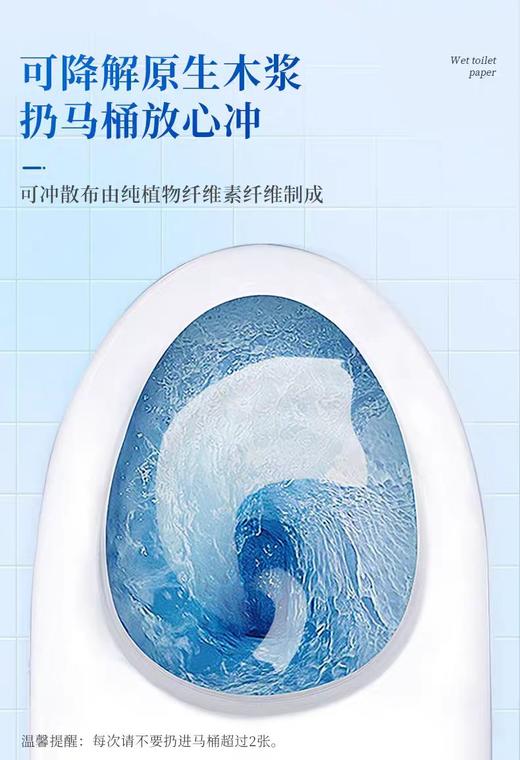 恩芝湿厕纸 150mm×200mm【宝库优选】 商品图10