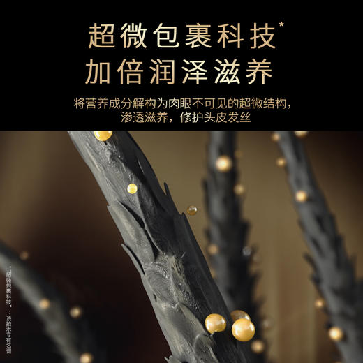 FORVIL 温莎森林 根源强韧精华洗发露 520mL*2瓶 商品图2