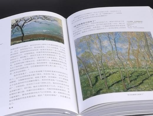 世界图书馆两种：《凡高》+《莫奈》，精装，小32开，铜版彩印，[德]丹尼尔.文登森、瑞纳.梅茨格著，北京美术摄影出版社2018年一版一印，741+612页，两册定价：396，售价118元。 商品图13