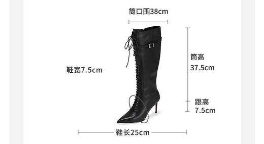 westory2024年秋冬新款优雅风细高跟百搭高靴时装靴W24DQ85001 商品图3