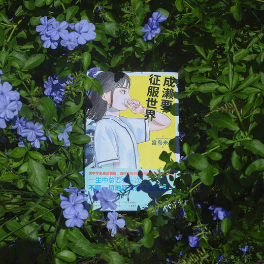 成濑要征服世界（日）宫岛未奈 著 日本书店大奖首奖作品 校园热血女性青春小说 日本现代文学 商品图1