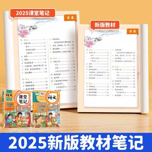 【斗半匠】2025新版课堂笔记1-6年级上册语文数学英语人教 商品图1