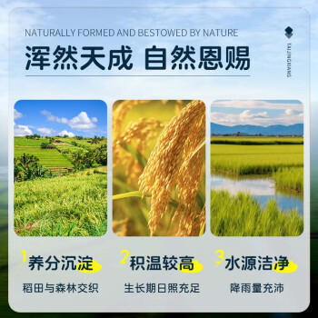 泰金香 上品茉莉香米 大米1.5Kg 小包装 长粒米 香米 大米3斤 /粮油调味 /米 /其他大米 商品图1