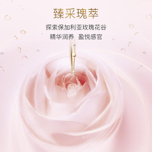 NOEVIR诺薇雅 精纯蜜粉23g 商品图3