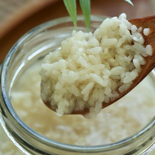 【非遗传承】鲜酒糟 醪糟 750g/罐 商品图4