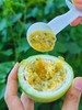 海南树上熟-蜂蜜黄金百香果 商品缩略图6