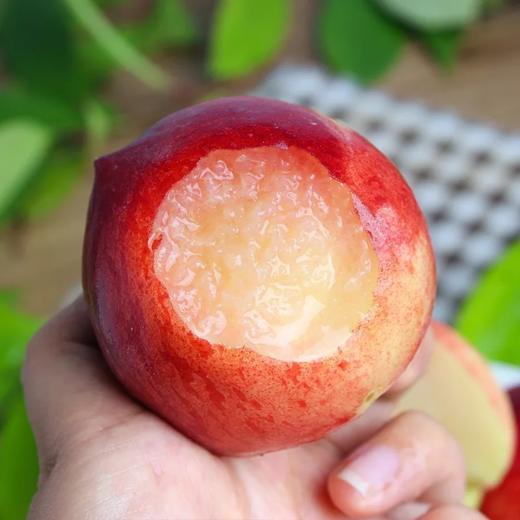 陕西露天粉黛水蜜桃【老树头茬好货，顺丰发货】 商品图2