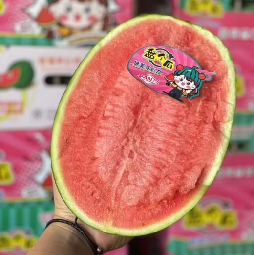 盘个瓜，甘美4K，精品瓜，脆甜，7-8斤 商品图0