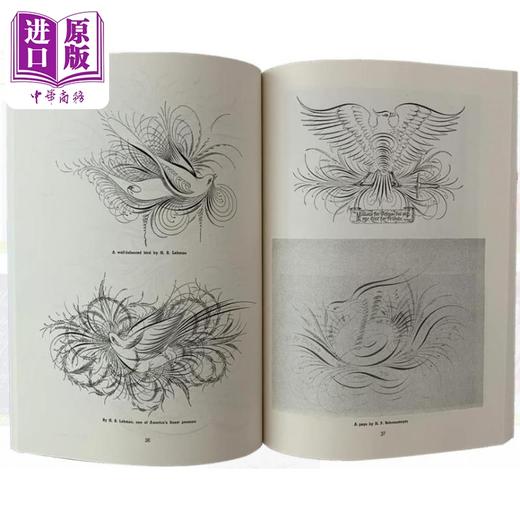 【中商原版】Ornate Pictorial Calligraphy 进口艺术 花鸟装饰 英文练字花体字字帖圆体字 商品图2