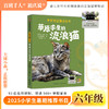 25年暑期六年级狐狸半蹲半走 每天做一件正确的事 古里古怪 草原求生 拉萨的美驼与骏马有许多窗户 豆蔻年华 磨坊之心 商品缩略图3