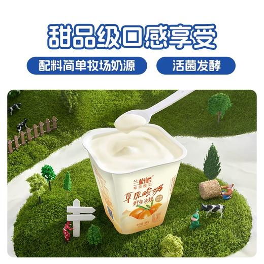 【BF】兰格格草原酸奶（野生沙棘） 商品图1