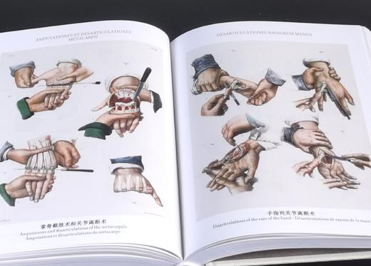 《人体解剖图谱》（完全版），精装，铜版彩印，小32开，[法]J.M布尔热里、[法]N.H雅各布著，北京美术摄影出版社2018年一版一印，827页，定价198，售价70元。 商品图11