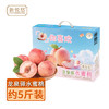 【快递】四川龙泉驿(京艳)水蜜桃约5斤 (单果＞200g  约8-12个) 礼盒装 商品缩略图6