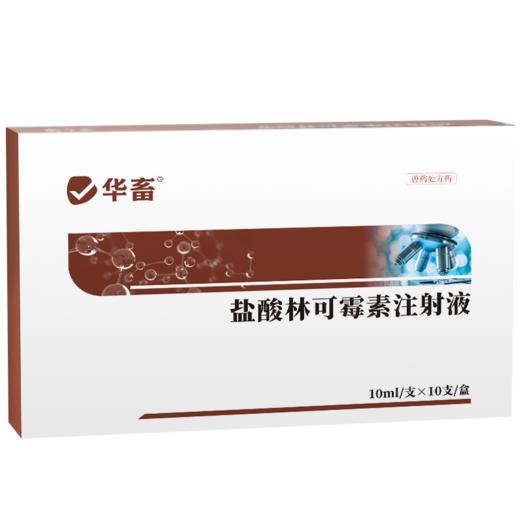 华畜 30%林可霉素注射液10ml*10支 肺炎咳喘 关节肿大 仔猪黄白痢 商品图4