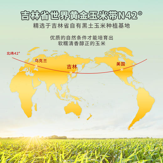 粮全其美水果玉米粒（8袋/箱） 商品图4