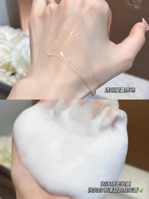 【买一享3丨到手1590毫升】发之食谱无花果蓬松洗发水530ml*2（加赠无花果护发素530毫升） 商品图1