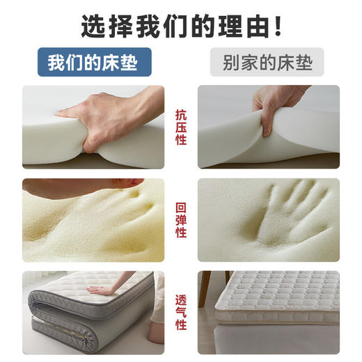 自然醒艾棉乳胶记忆棉立体床垫单双人加厚床褥家用学生宿舍软垫棉垫子LN 商品图8