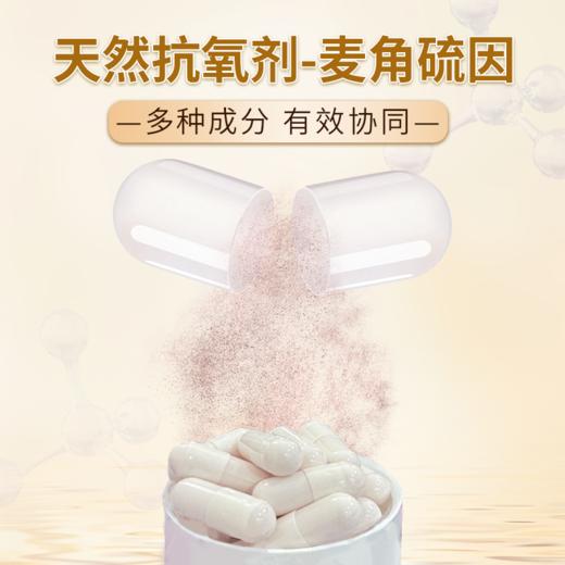 【美国原装进口】Norvikon诺维肯·麦角硫因透明质酸钠胶囊 抗氧化 清除自由基 高活性 高吸收 90粒/瓶 商品图2