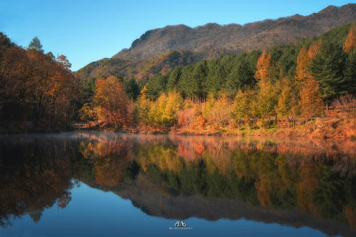 东北红叶盛宴丨四方顶子、本溪（老边沟&大石湖）、“中华枫叶大道”、科尔沁五角枫7天摄影团 商品图9