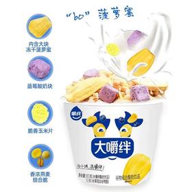 【BF】大嚼绊酸奶谷物组合-菠萝蜜
