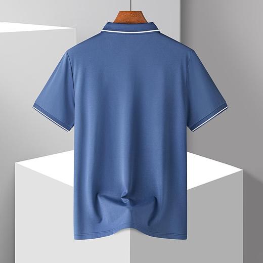 【7A抗菌蚕丝棉】罗蒙男士夏季休闲商务短袖polo衫男士短袖t恤 商品图5