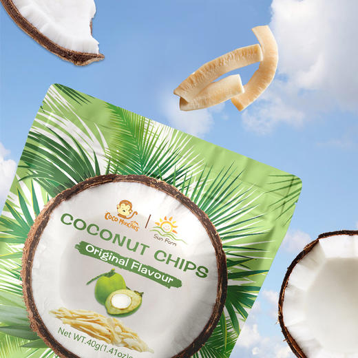 【原味椰子片】甄选泰国南部优质椰子 非油炸膨化 原浆浸泡 纯真椰香，自然滋味AA 商品图1