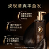 FORVIL 温莎森林 根源强韧精华洗发露 520mL*2瓶 商品缩略图1