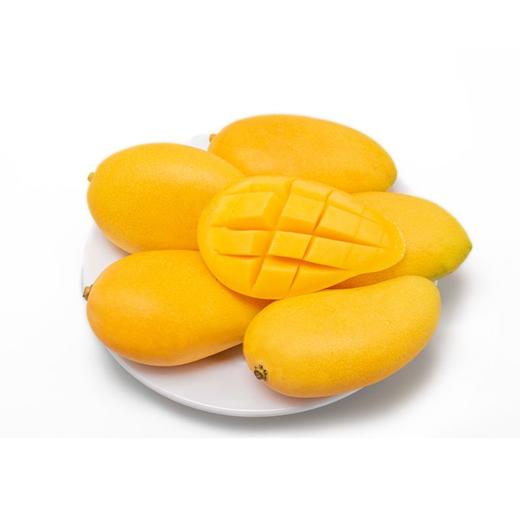 小台农芒（精品） 约1000g/份 商品图0