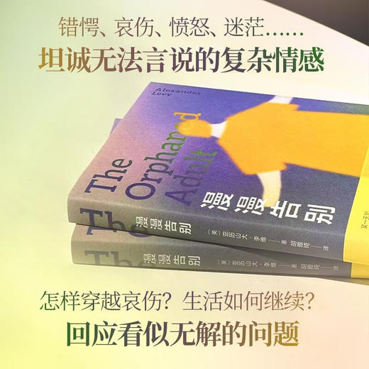 漫漫告别 如何面对人生中的爱与失去 心理医生写给成年人的告解书 商品图1