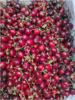 俄八大樱桃一斤 商品缩略图1