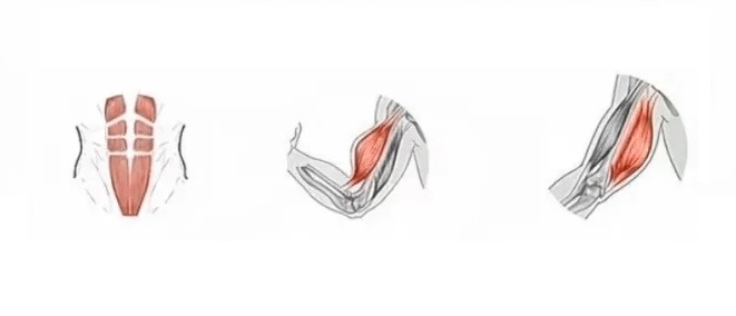 新手小白🌟健身的正确顺序，详细流程‼️_3_改改很自律_来自小红书网页版 - 副本.jpg