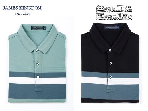 占姆士男士高端丝光棉短袖翻领POLO衫男夏季新款 商品图0