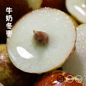 山地冬枣  一口脆甜蜜  核小皮薄  新鲜现摘现发  顺丰包邮