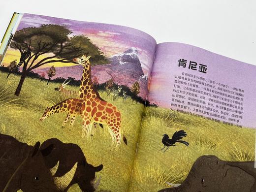 DK狂野星球 商品图1