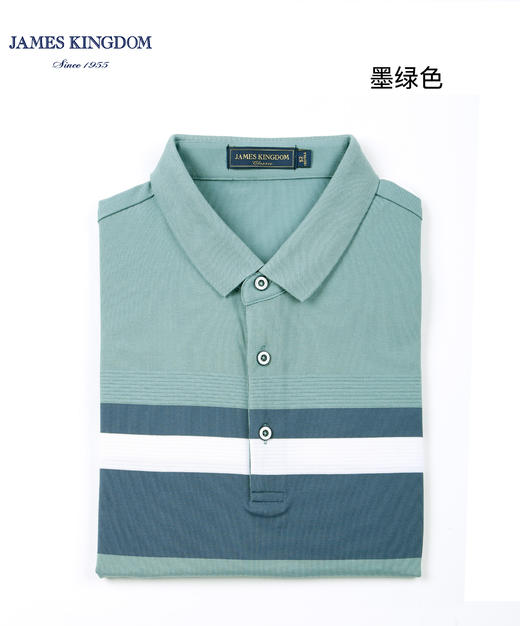 占姆士男士高端丝光棉短袖翻领POLO衫男夏季新款 商品图2
