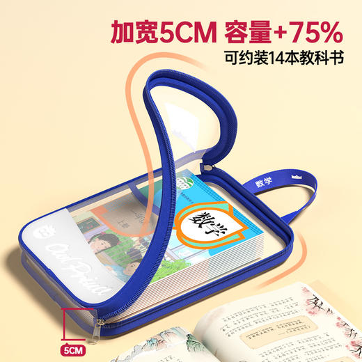 猫太子L型科目分类袋透明文件袋小学生双层网纱补习袋学科手提袋学生试卷收纳袋拉链式作业书本拎书袋子 商品图2
