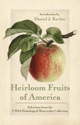嘉德文库丨Heirloom Fruits of America: Selections from the USDA Watercolor Pomological Collection