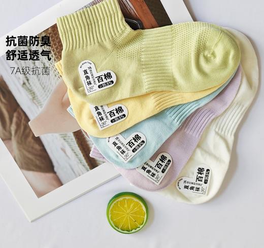 【超值6双装】美尘May C 百棉直角高橡筋袜男款/女款 舒适透气 弹力袜口 商品图2