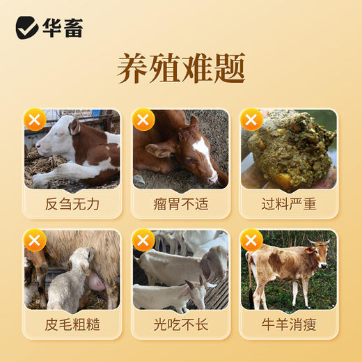 酸香瘤胃宝1kg 商品图1