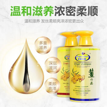 琴叶（Q&Y）侧柏叶生姜洗发水1000ml 经典P104 防脱育发 强根保养 韧发控油 商品图4