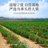 【秋冬滋补】【杞里香纯耕250g*2罐新货枸杞子】宁夏头茬红枸杞子220苟杞构杞的特级500g泡水泡茶旗舰店 商品缩略图8