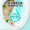 净狮洁厕清洁剂检测洁厕剂+魔瓶组合 商品缩略图4