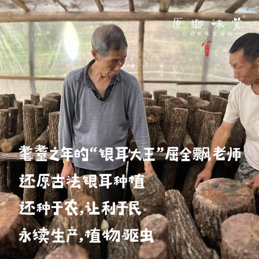 原乡有机雪耳|银耳（成都仓库-顺丰快递） | 35g/罐，来自四川巴中，生产者：原乡食用菌合作社【原乡自产】 商品图9