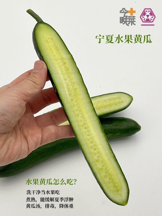 宁夏沙漠水果黄瓜 商品图6