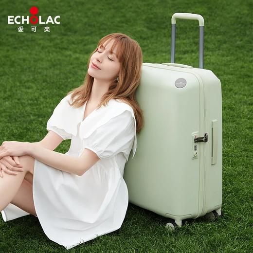 Echolac/爱可乐 熊猫箱行李箱可爱登机旅行密码箱PC258 商品图2