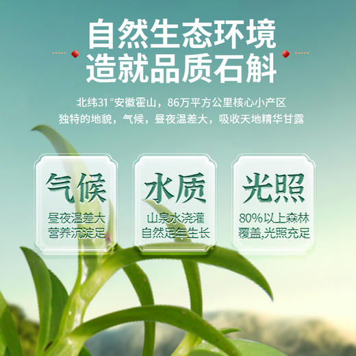 【便捷滋养】霍山石斛原浆95%纯度熬夜党必备 天然滋养焕发活力 商品图1