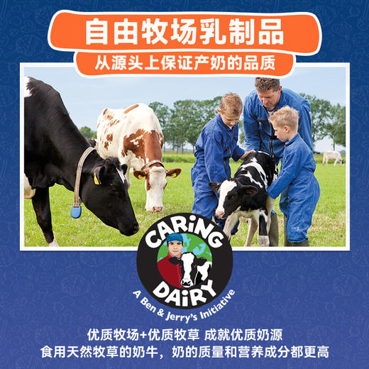 Ben&Jerry's本杰瑞巧克力布朗尼冰淇淋465mL进口香草焦糖桶装雪糕 商品图13